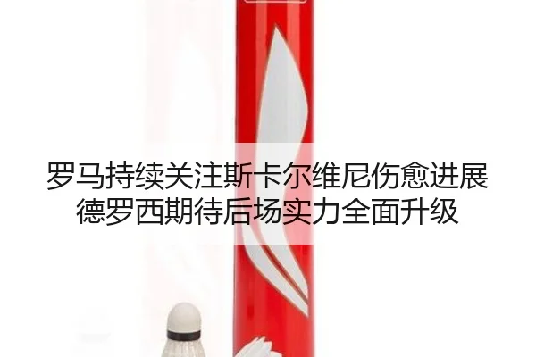 罗马持续关注斯卡尔维尼伤愈进展德罗西期待后场实力全面升级